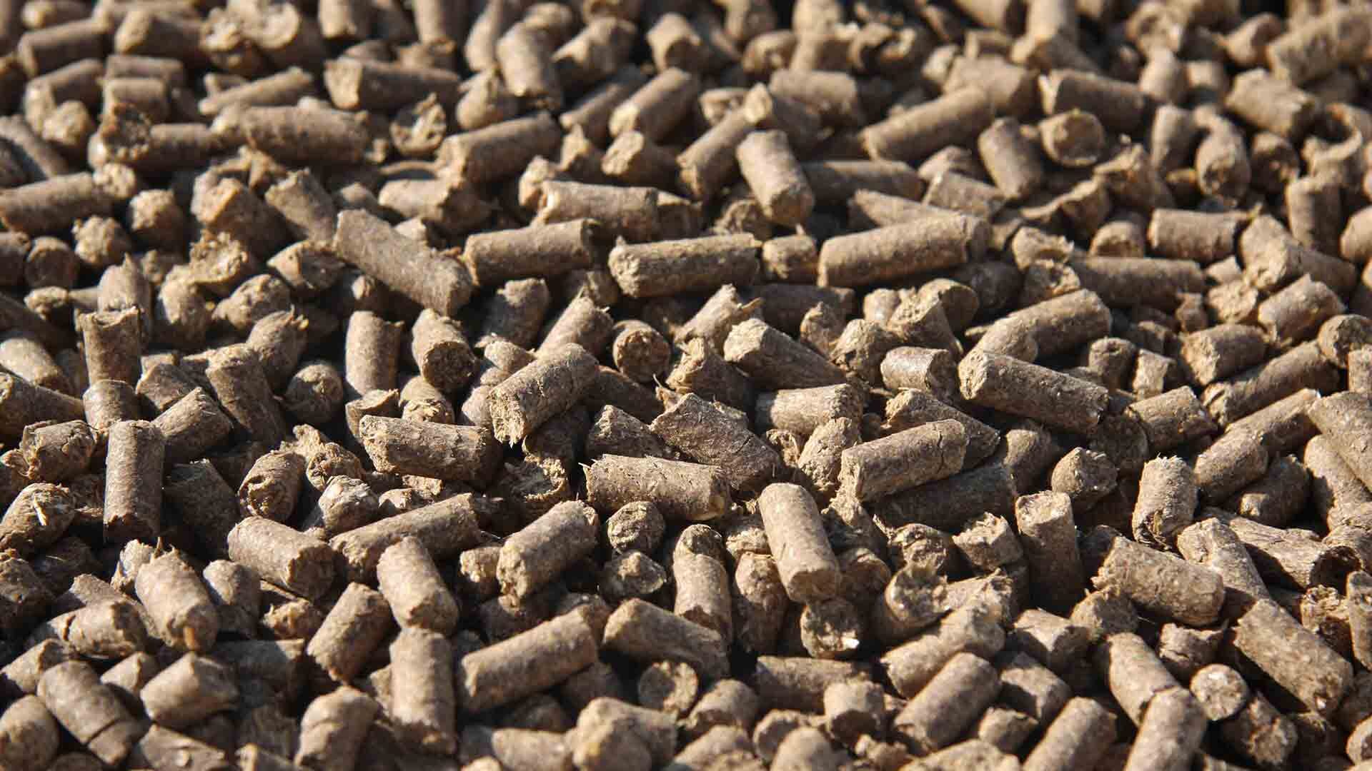 Sifa-Pellets für Pferde